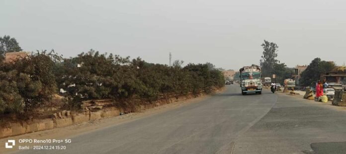 Barhi News: Bushes wreak havoc on NH 2, problems for drivers increased