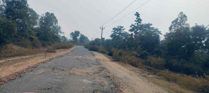 Chatra News: विकास का बाट जोह रहा है तुलबुल से नगवां तक कि जर्जर सड़क