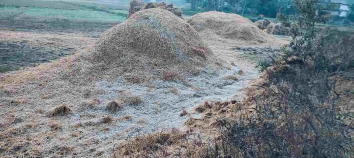 Kanhachatti News: Cold wave increased, arrangements for bonfire and blankets not made yet