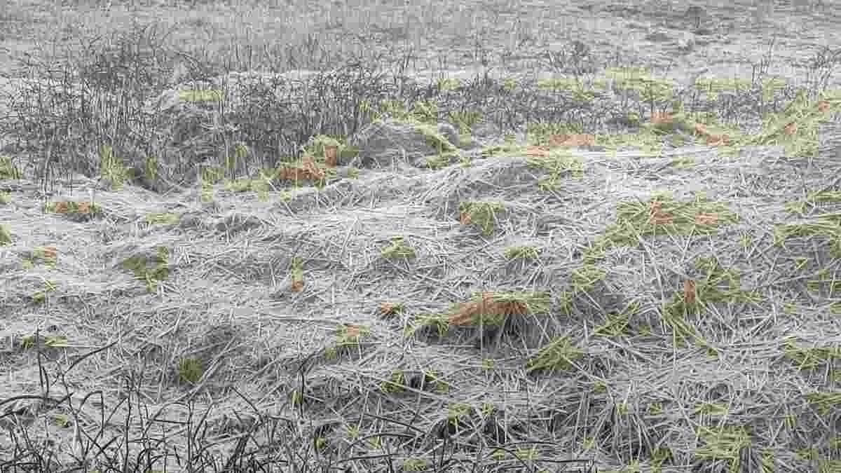 Kanhachatti News: Cold wave increased, arrangements for bonfire and blankets not made yet