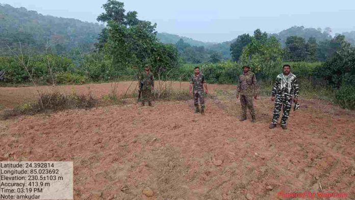 Kanhachatti News: Rajpur police and forest department destroyed poppy crop grown in about three acres in Amkudar