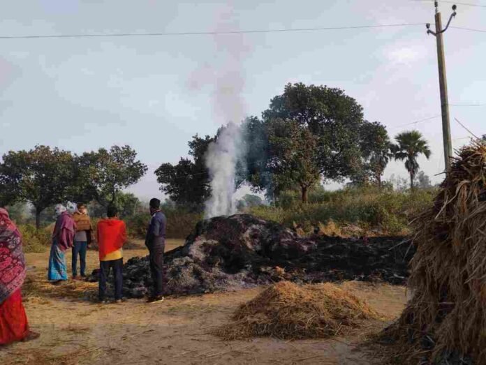 Barhi News: बिजली का तार गिरने से खलिहान में रखा सैकड़ों बोझा धान जलकर खाक