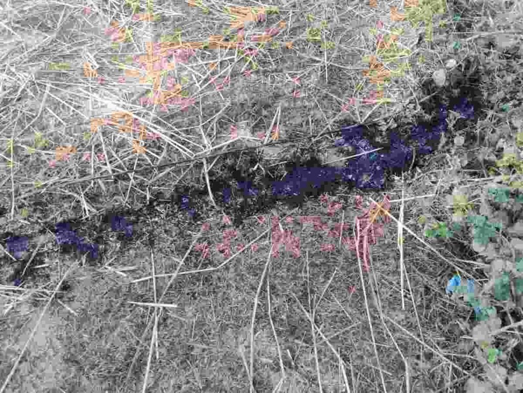 Barhi News: बिजली का तार गिरने से खलिहान में रखा सैकड़ों बोझा धान जलकर खाक 1 Barhi News: बिजली का तार गिरने से खलिहान में रखा सैकड़ों बोझा धान जलकर खाक