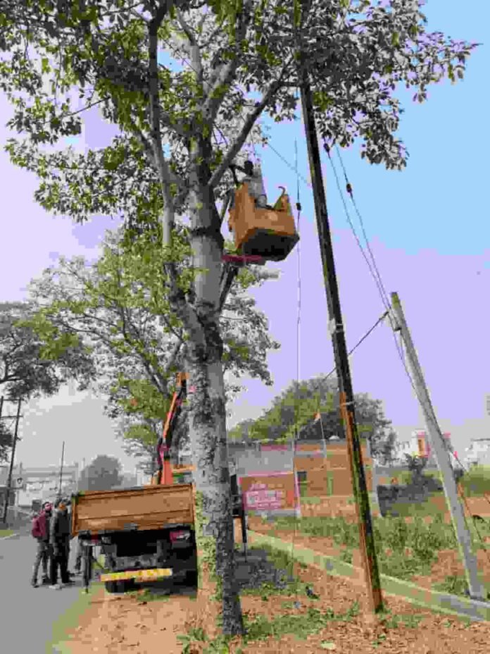 Bishnugarh News: Now electricity will be supplied in Sariya feeder through new high tension cable