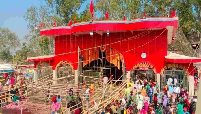 Bishnugarh News: A flood of faith thronged the court of Maa Kali in Bishnugarh