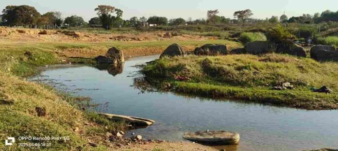 Barhi News: The river in Laskari started drying up even before summer, increasing concern for animals and birds